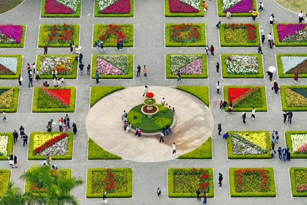 福建厦门：11万株郁金香盛放迎春来