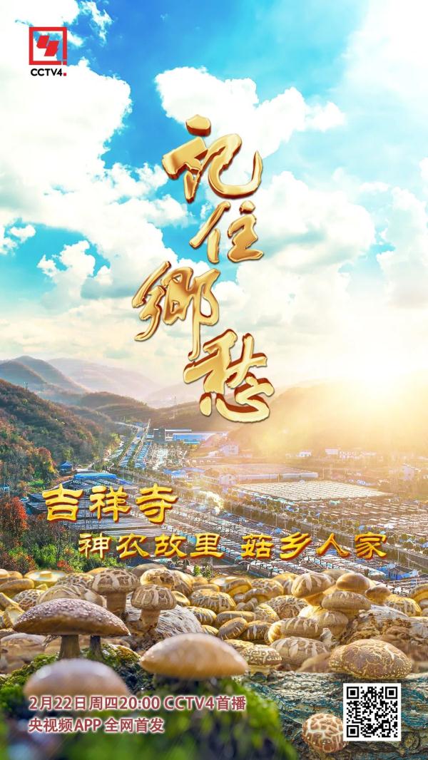 “买全国、卖世界”，神农故里的菇，种得叫一个棒！