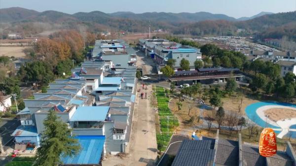 “买全国、卖世界”，神农故里的菇，种得叫一个棒！