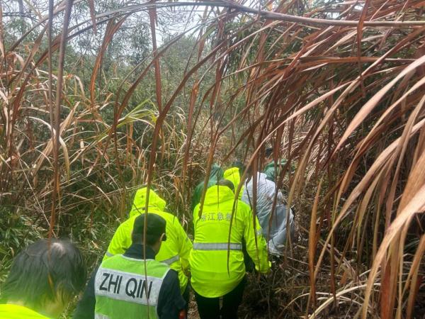 男子山中失联三天三夜！一声狗吠，奇迹出现了
