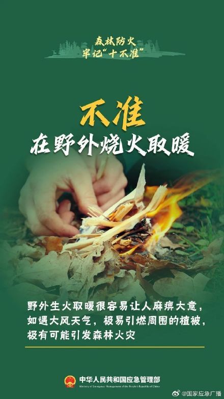 贵阳8场山火10人被处理 森林防火“十不准”请谨记