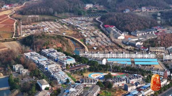 “买全国、卖世界”，神农故里的菇，种得叫一个棒！