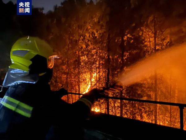 贵州通报6起山火原因：均为违规用火导致