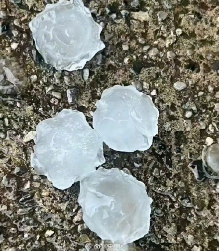 浙江多地下起弹珠大的冰雹 浙江多地下起弹珠大的冰雹