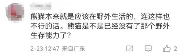 大熊猫花花除夕夜被遗忘外场，开除饲养员处罚过重？网友吵翻……