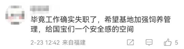 大熊猫花花除夕夜被遗忘外场，开除饲养员处罚过重？网友吵翻……