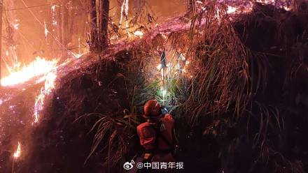 广西3地山火已灭 广西百色一处山火仍在紧张扑救中 广西3地山火已灭 广西百色一处山火仍在紧张扑救中