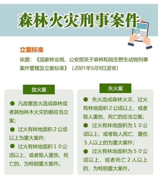 贵州通报6起山火原因：均为违规用火导致