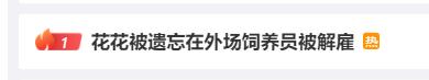 热搜第一！除夕夜“花花”被遗忘在外场数小时，饲养员被解雇！