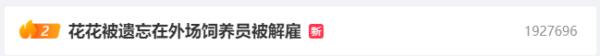 大熊猫花花除夕夜被遗忘外场，开除饲养员处罚过重？网友吵翻……