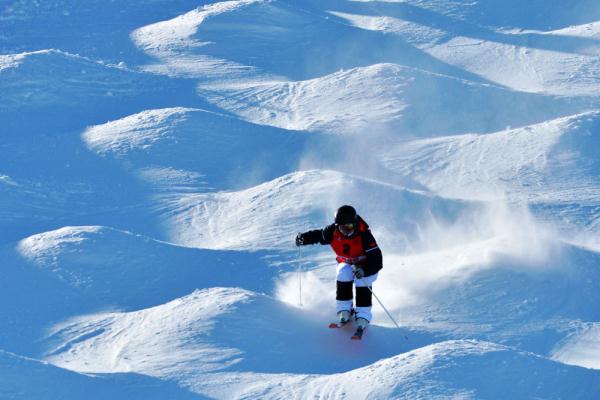 春华秋实 岁物丰成——探析中国冰雪竞技人才培养新模式