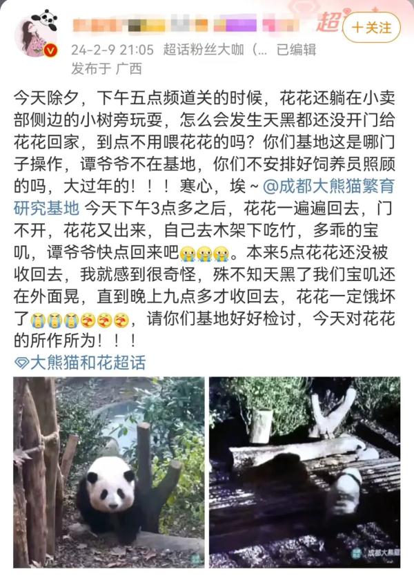 热搜第一！除夕夜“花花”被遗忘在外场数小时，饲养员被解雇！