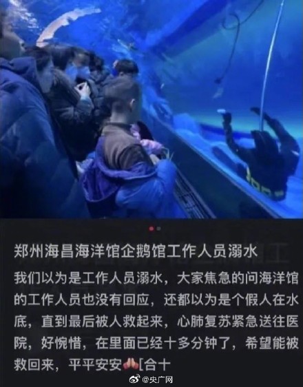 网友质疑潜水员溺亡海洋馆的安全管理