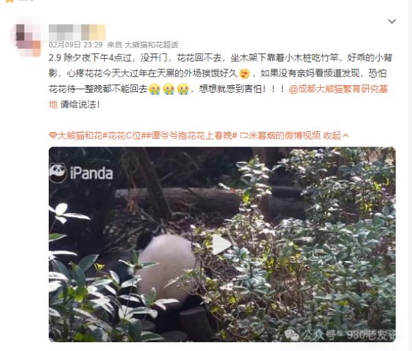 除夕夜，大熊猫“花花”被遗忘在外场！官方最新回应