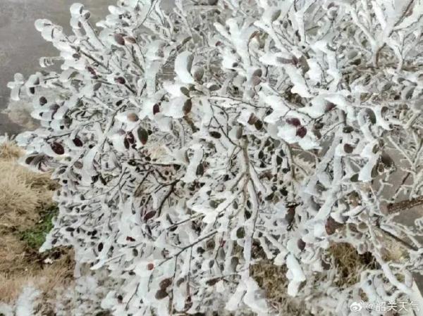 最低气温10.8℃,广州阴冷天气将持续至…… 最低气温10.8℃,广州阴冷天气将持续至……