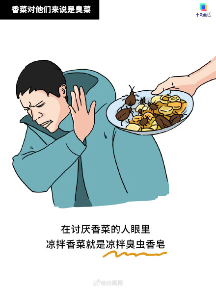 讨厌香菜是有原因的,香菜有股臭虫味不是错觉 讨厌香菜是有原因的,香菜有股臭虫味不是错觉