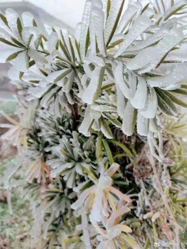 最低气温10.8℃,广州阴冷天气将持续至…… 最低气温10.8℃,广州阴冷天气将持续至……