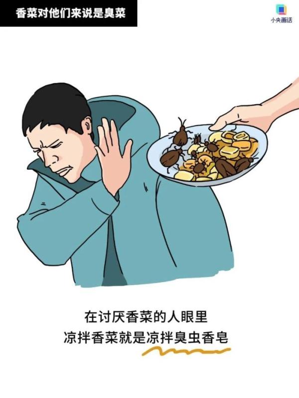就在今天！立刻成立“拔光世界上所有香菜”小队