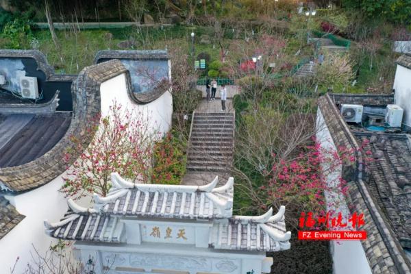 太美了!福州这里“繁花”盛开 太美了!福州这里“繁花”盛开