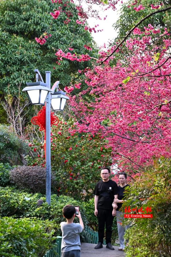 太美了!福州这里“繁花”盛开 太美了!福州这里“繁花”盛开