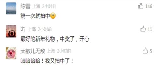 刚刚公布!创上海三年来新高!这东西很多人今天都在抢 刚刚公布!创上海三年来新高!这东西很多人今天都在抢