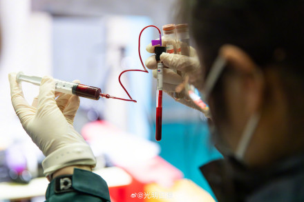 南京豚妹康复日记：如何救治伤病长江江豚？