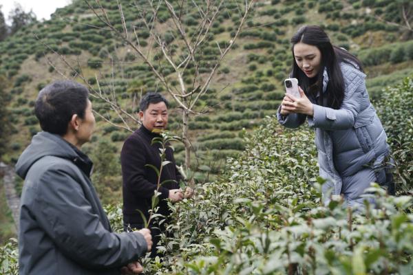 新春走基层|电商新农人 在秦巴山区绽放青春活力
