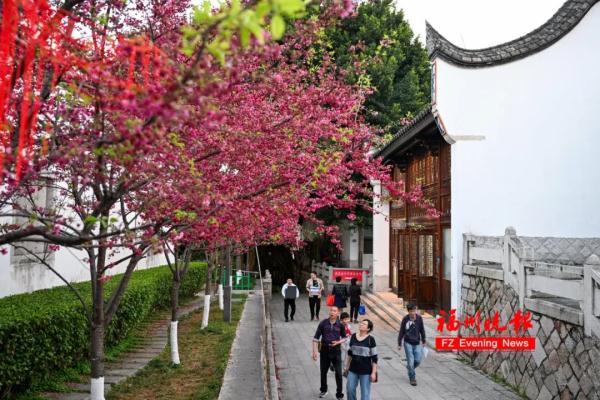 太美了!福州这里“繁花”盛开 太美了!福州这里“繁花”盛开