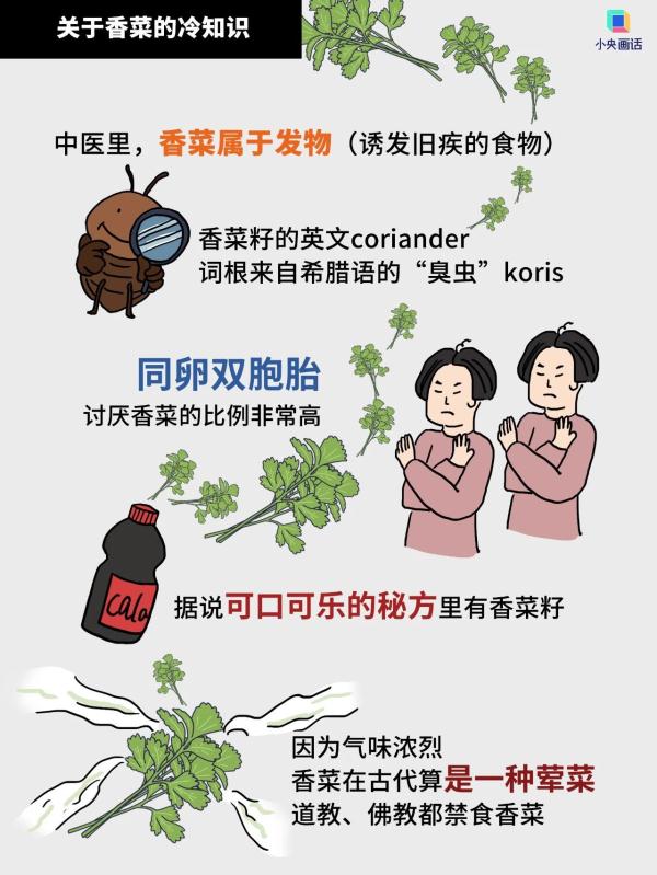 对不吃香菜的人，请尊重、理解、祝福