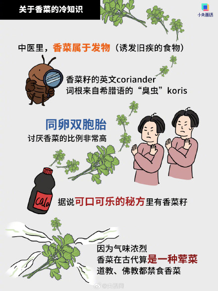 讨厌香菜是有原因的,香菜有股臭虫味不是错觉 讨厌香菜是有原因的,香菜有股臭虫味不是错觉
