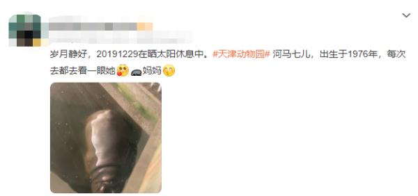 “七儿”昨天安静离世！国内最高寿！