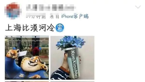 “冷得有性价比！终于下雪了！”今晨上海全城跌破冰点，啥时候能暖和点？