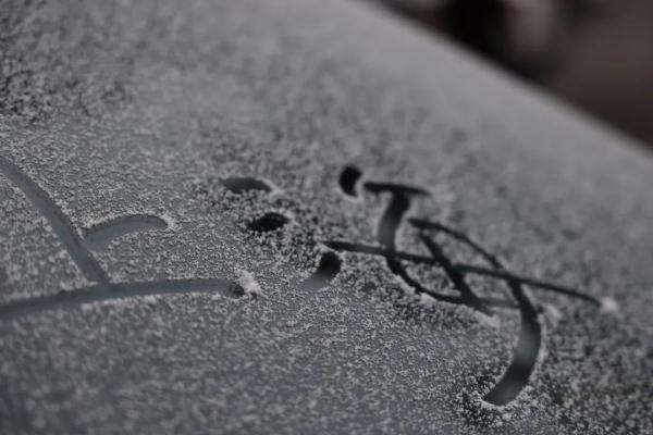 上海人今早朋友圈刷屏！真的下雪啦！这回没白受冻