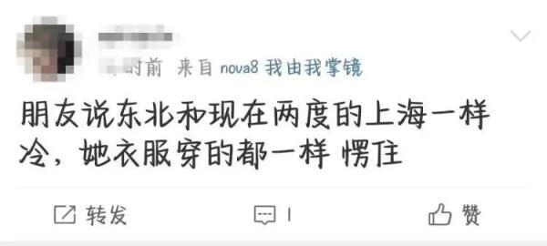 “冷得有性价比！终于下雪了！”今晨上海全城跌破冰点，啥时候能暖和点？