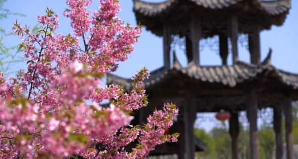 合肥最新春季赏花地图来了！