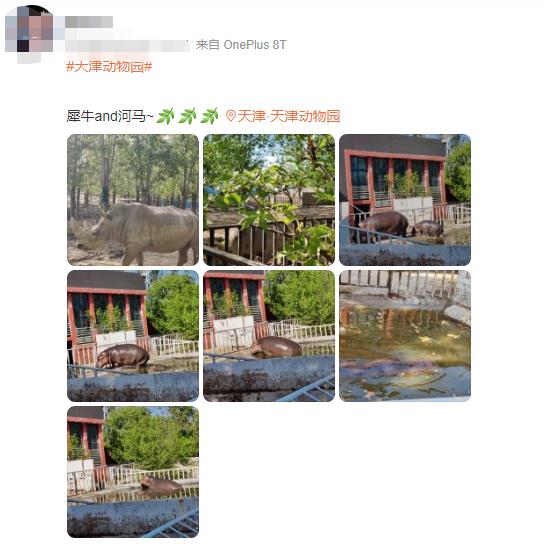 “七儿”昨天安静离世！国内最高寿！