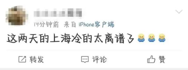 “冷得有性价比！终于下雪了！”今晨上海全城跌破冰点，啥时候能暖和点？