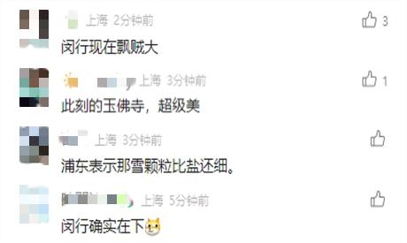 上海人今早朋友圈刷屏！真的下雪啦！这回没白受冻