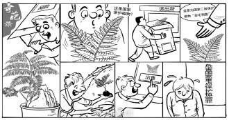 网购盆景竟是重点保护蕨类 私自采挖野生植物或违法
