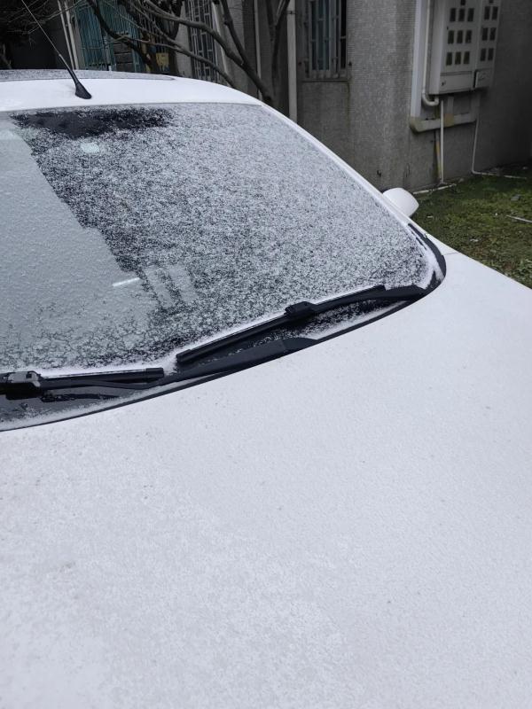 上海人今早朋友圈刷屏！真的下雪啦！这回没白受冻