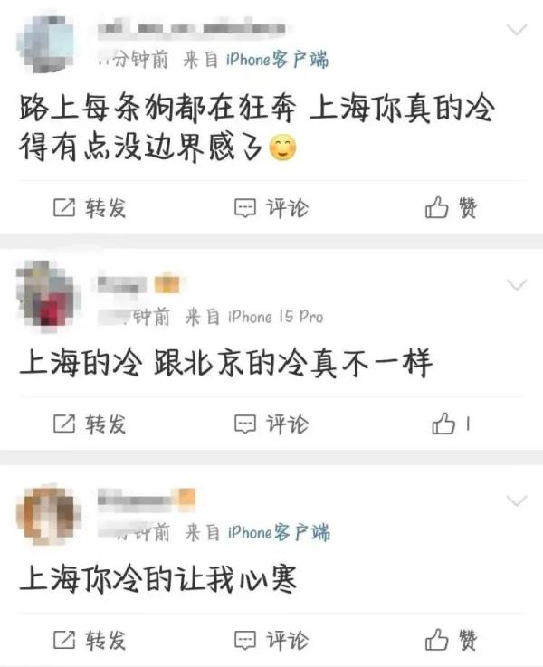 “冷得有性价比！终于下雪了！”今晨上海全城跌破冰点，啥时候能暖和点？