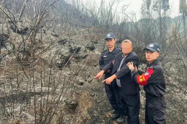 贵州多起山火肇事者，被采取强制措施