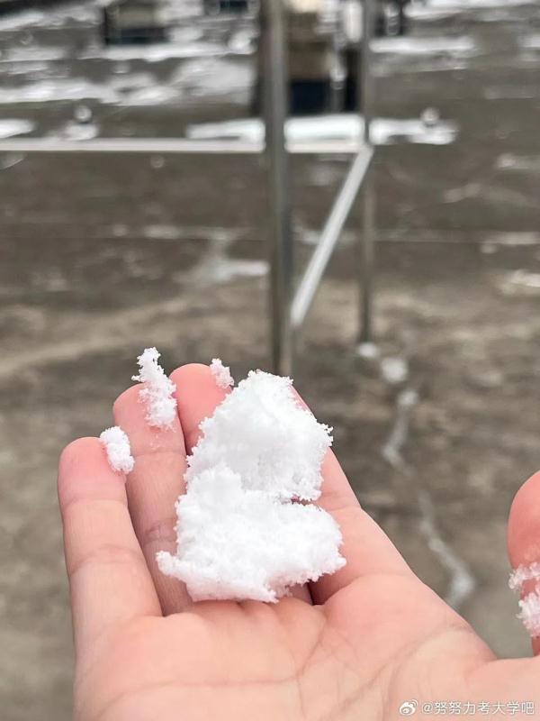 上海人今早朋友圈刷屏！真的下雪啦！这回没白受冻