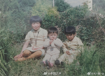 娃哈哈评论区都是回忆杀 娃哈哈评论区都是回忆杀