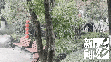 上海人今早朋友圈刷屏！真的下雪啦！这回没白受冻