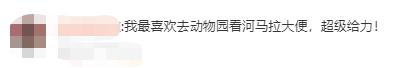 “七儿”昨天安静离世！国内最高寿！