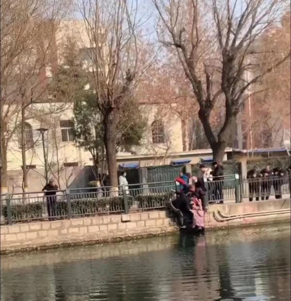 事发石家庄！他不会游泳，却果断跳入河中……