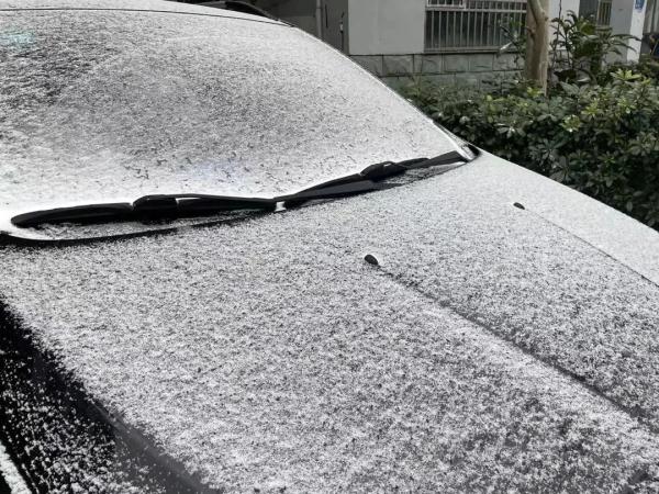上海人今早朋友圈刷屏！真的下雪啦！这回没白受冻