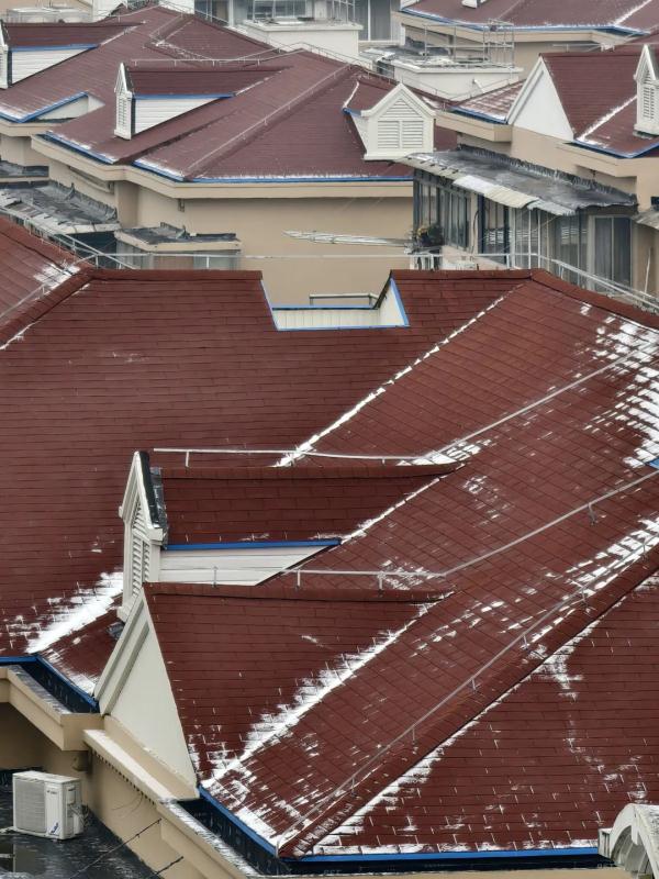 上海人今早朋友圈刷屏！真的下雪啦！这回没白受冻