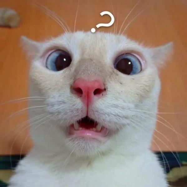 气笑了！贵州一男子交通违法遇检，竟让民警去查交规……